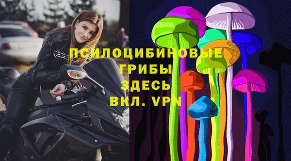 PSILOCYBIN Алексеевка