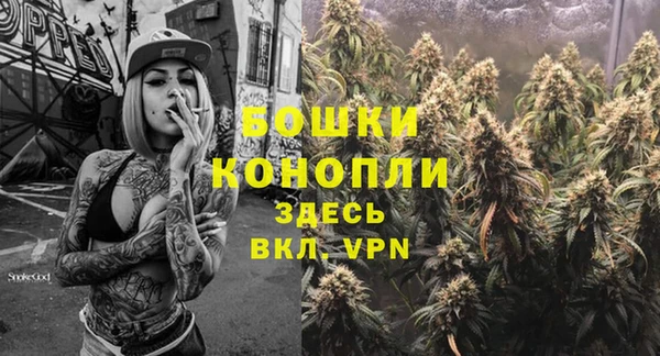 PSILOCYBIN Алексеевка